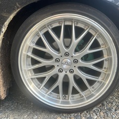 
ロクサーニの画像