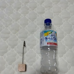 【値下げ中‼️】写真飾りの画像