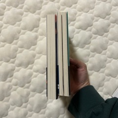 【値下げ中‼️】Eve　小説の画像