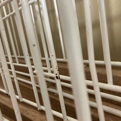 セット クレート/トイレトレーx2/ペットフェンス/屋根付きウッディシステムサークルの画像