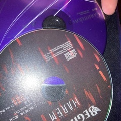 手紙　愛内里菜　マキシCD 他合計3枚　交換でも可能の画像