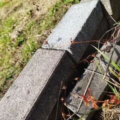 ブロックの画像