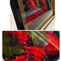 沖縄県花デイゴの装飾の画像