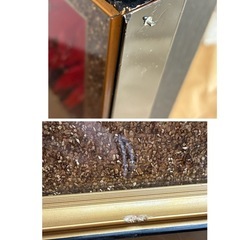 沖縄県花デイゴの装飾の画像