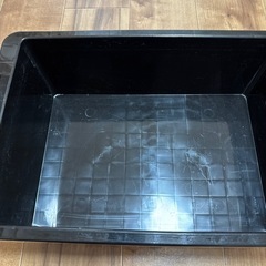 NV BOX13 メダカにの画像