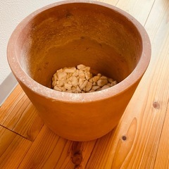 【2025年購入】テラコッタ 素焼きの植木鉢の画像