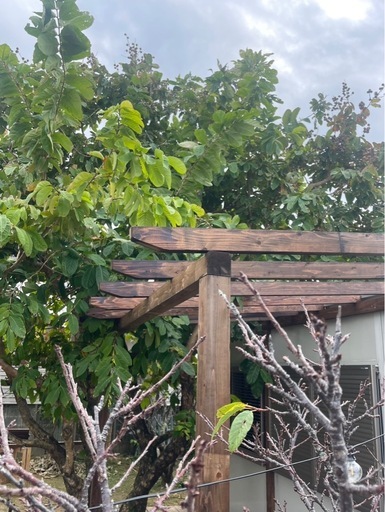 パーゴラ製作 / ウッドデッキ製作 致します。