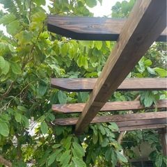 パーゴラ製作 / ウッドデッキ製作 致します。の画像