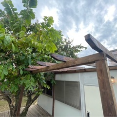 パーゴラ製作 / ウッドデッキ製作 致します。の画像