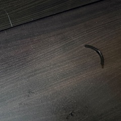 ニトリロフトベッド　（自分で解体して運べる方限定）の画像