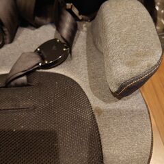 ジュニアシート(トイザらス限定カラー)の画像