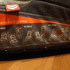 ジュニアシート(トイザらス限定カラー)の画像