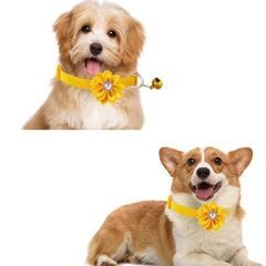猫ちゃんフラワー首輪（新品）イエローの画像