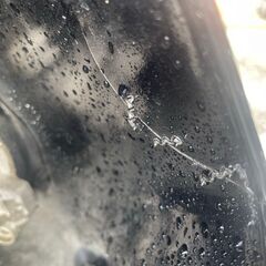 HONDA　CBR250RR　MC22　92年式　規制前の画像