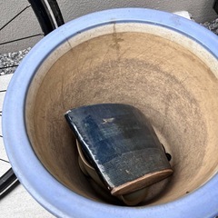 植木鉢　色々の画像