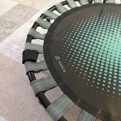 トランポリン　ダイエットステップの画像