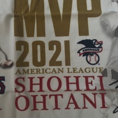 大谷翔平君タオルの画像