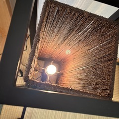 リゾートライトの画像