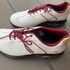 ゴルフシューズ　ミズノ25cmの画像