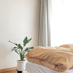 セミダブルベッドセットの画像