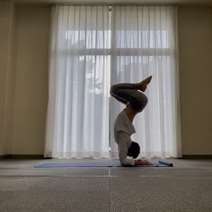 NaoYoga 12月クラス予定(小平開催)の画像