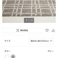 ニトリ　ラグカーペット200×250の画像