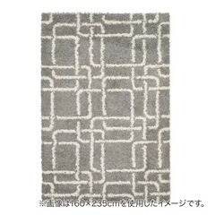 ニトリ　ラグカーペット200×250の画像