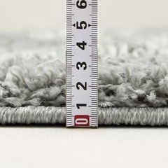 ニトリ　ラグカーペット200×250の画像