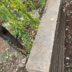 【お譲りの方が決まりました】長方形の石の画像