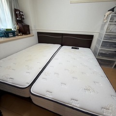 シーリーSealy シングルベッドフレームの画像