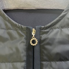 トーベルのジレの画像