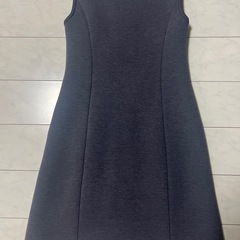 トーベルのジレの画像