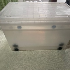 衣装ケース　2つの画像