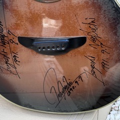 YAMAHA APX-8CSの画像