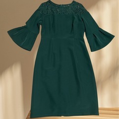 未使用に近いパードレスの画像