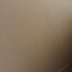 受け渡し予定　東京インテリア　チェスト　洋服タンスの画像