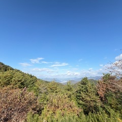 広島の安佐北区でとれた国産はちみつの画像