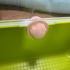 ハムスター 飼育ケージの画像