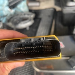 シグナス　
aracerの画像