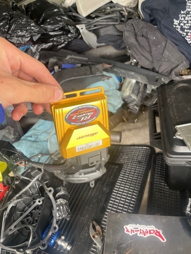 シグナス　
aracer