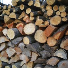 ■乾燥済み　広葉樹ミックス薪約40kg  1125　リピーター様に大好評！の画像