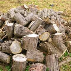 薪　キャンプ用にいかがですか（軽トラ2～3台分）の画像