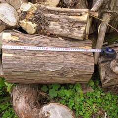 薪　キャンプ用にいかがですか（軽トラ2～3台分）の画像