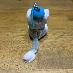 ジェラトーニの画像