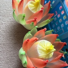 ハスの花1対の画像