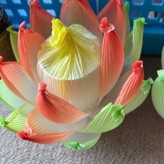 ハスの花1対の画像