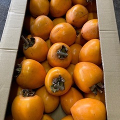 渋柿　鉢屋柿35〜36入り¥3,000の画像