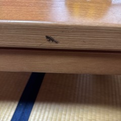 コタツテーブルの画像