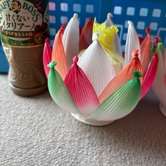 ハスの花色違い３輪の画像