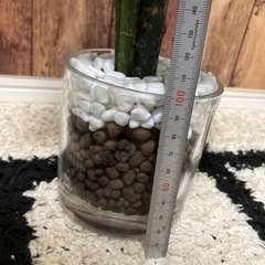 【中古】造花　インテリア　観葉植物好きの方にの画像